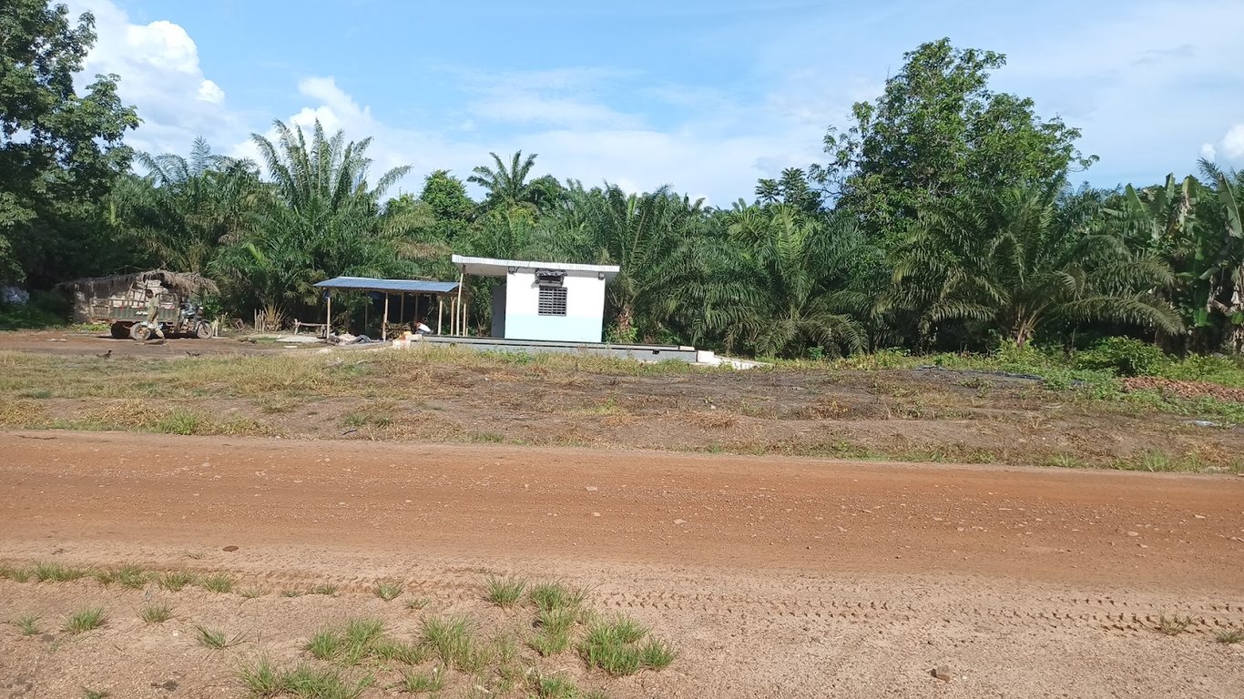 Taï National Park