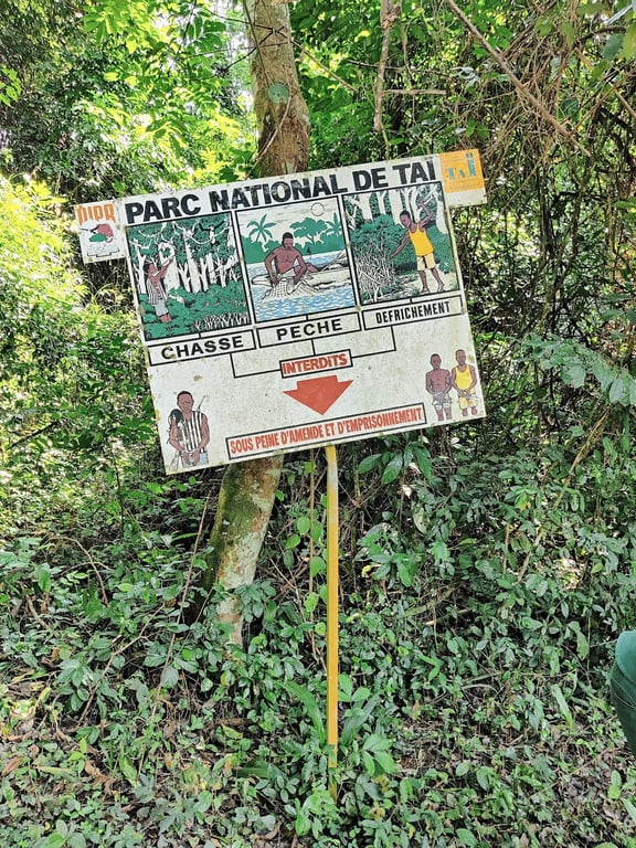 Taï National Park