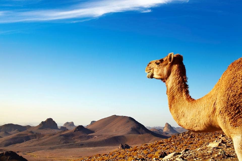 Tassili n’Ajjer National Park