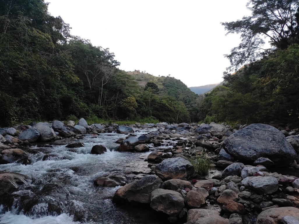 Talgua Cave