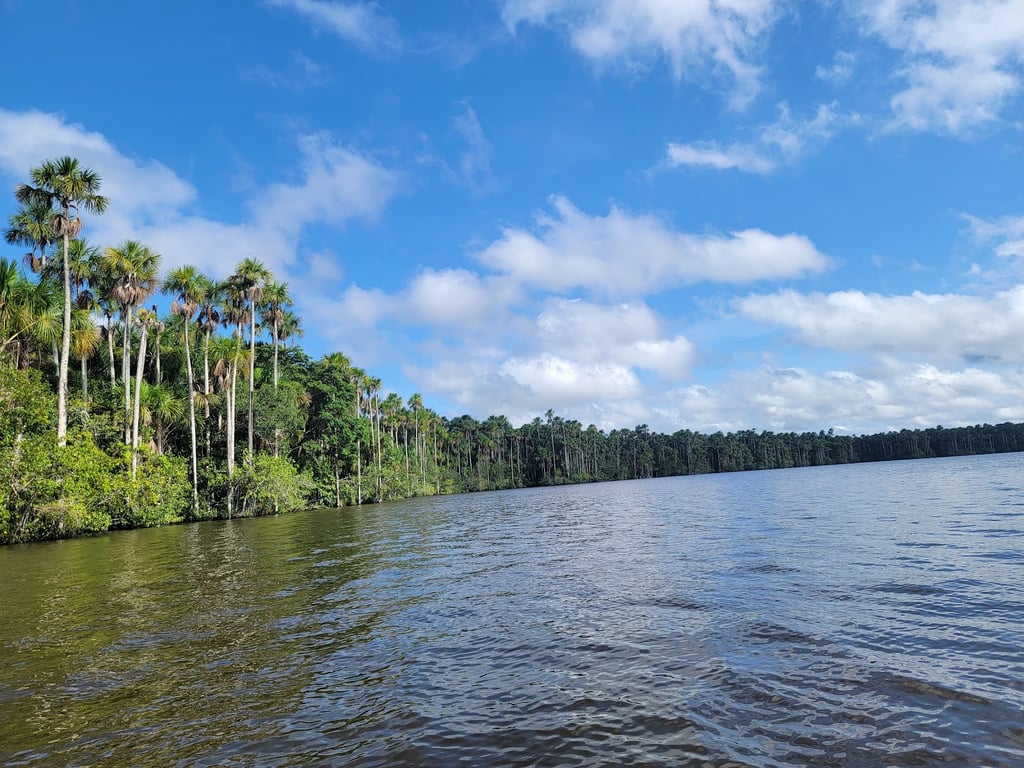 Tambopata National Reserve