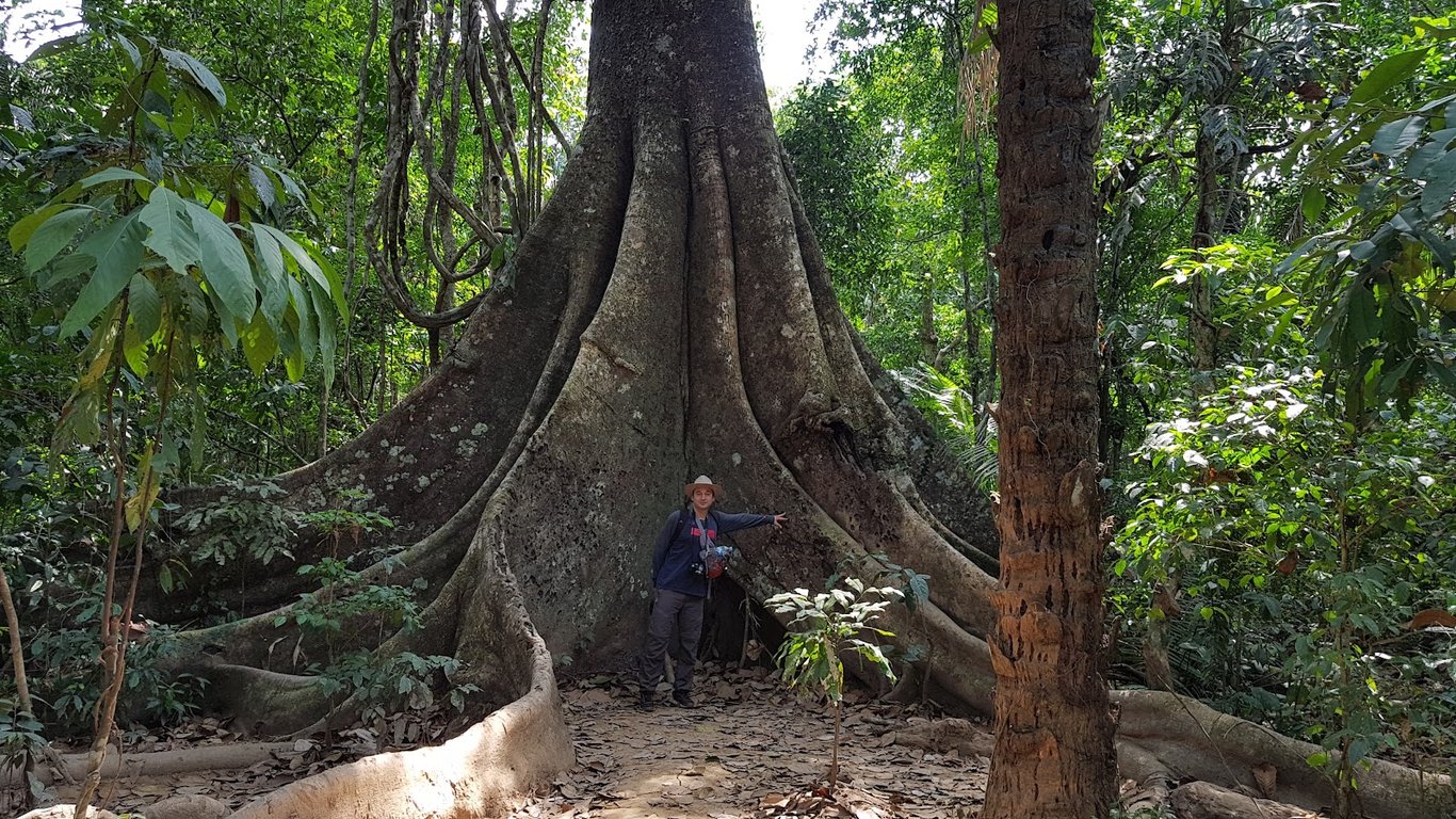 Tambopata National Reserve