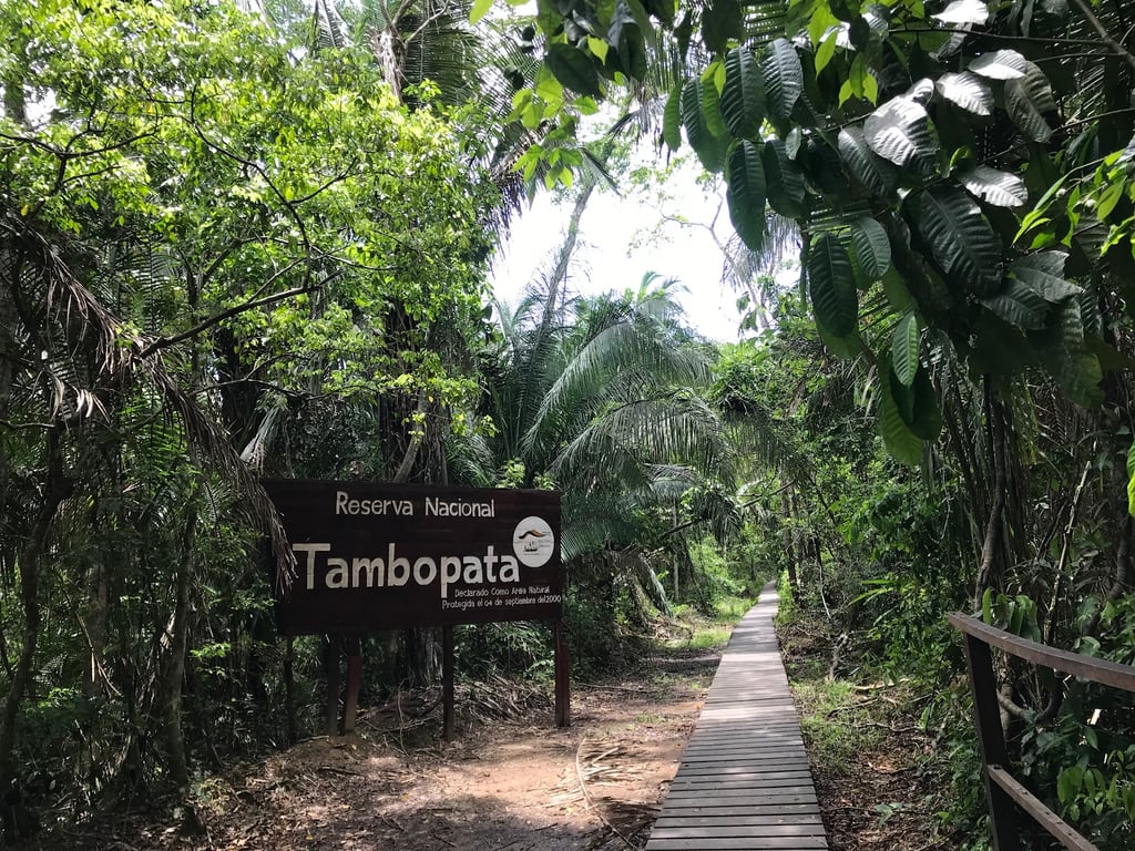 Tambopata National Reserve
