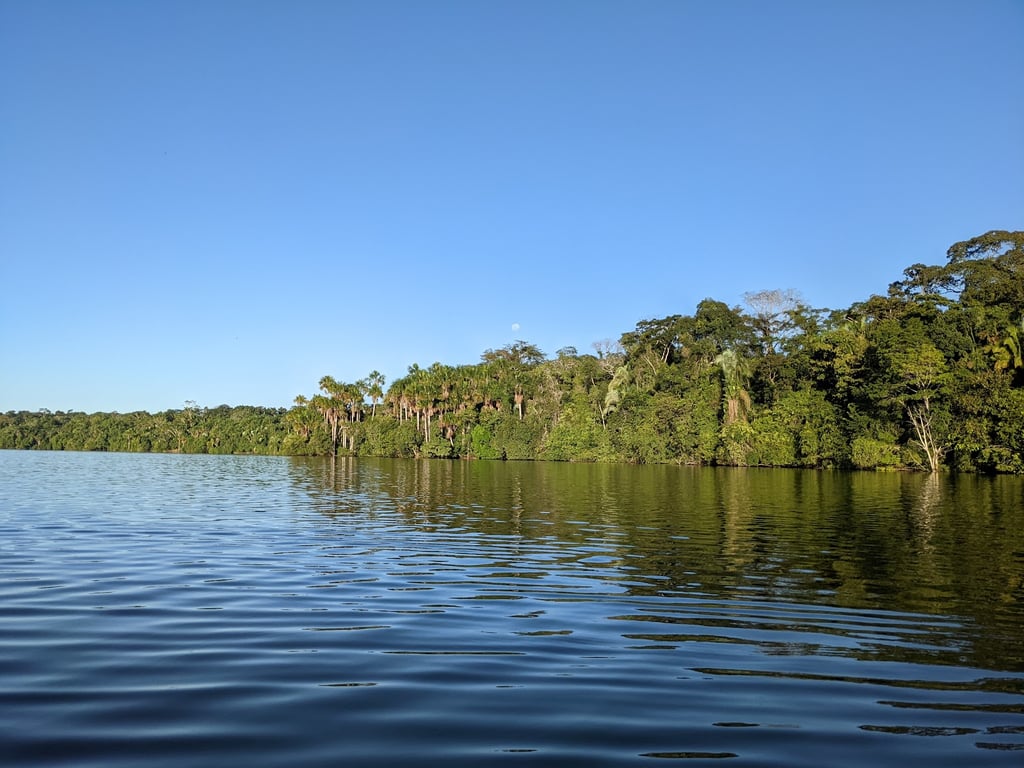 Tambopata National Reserve