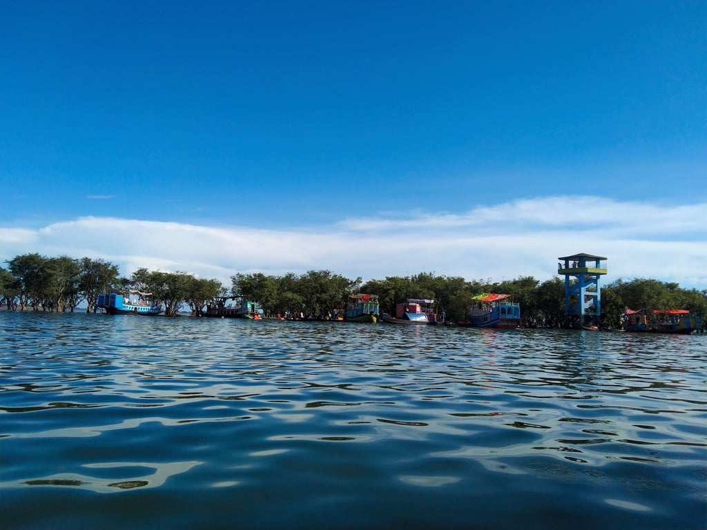 Tanguar Haor