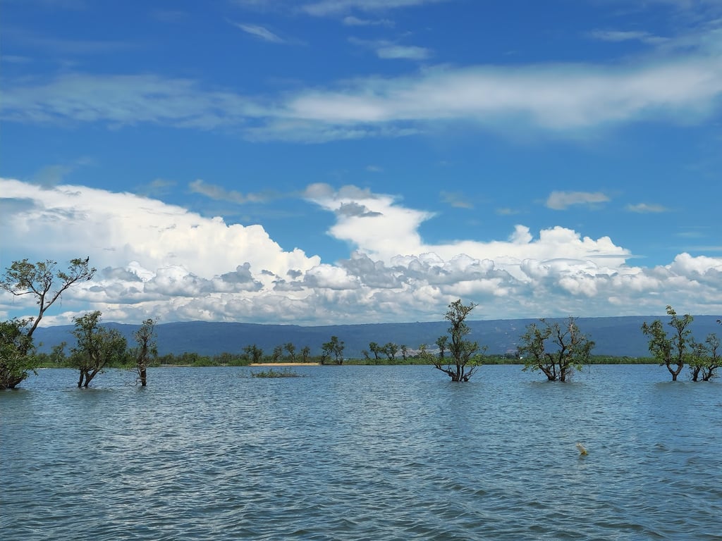 Tanguar Haor