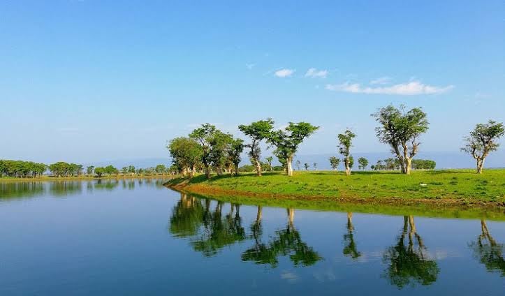 Tanguar Haor