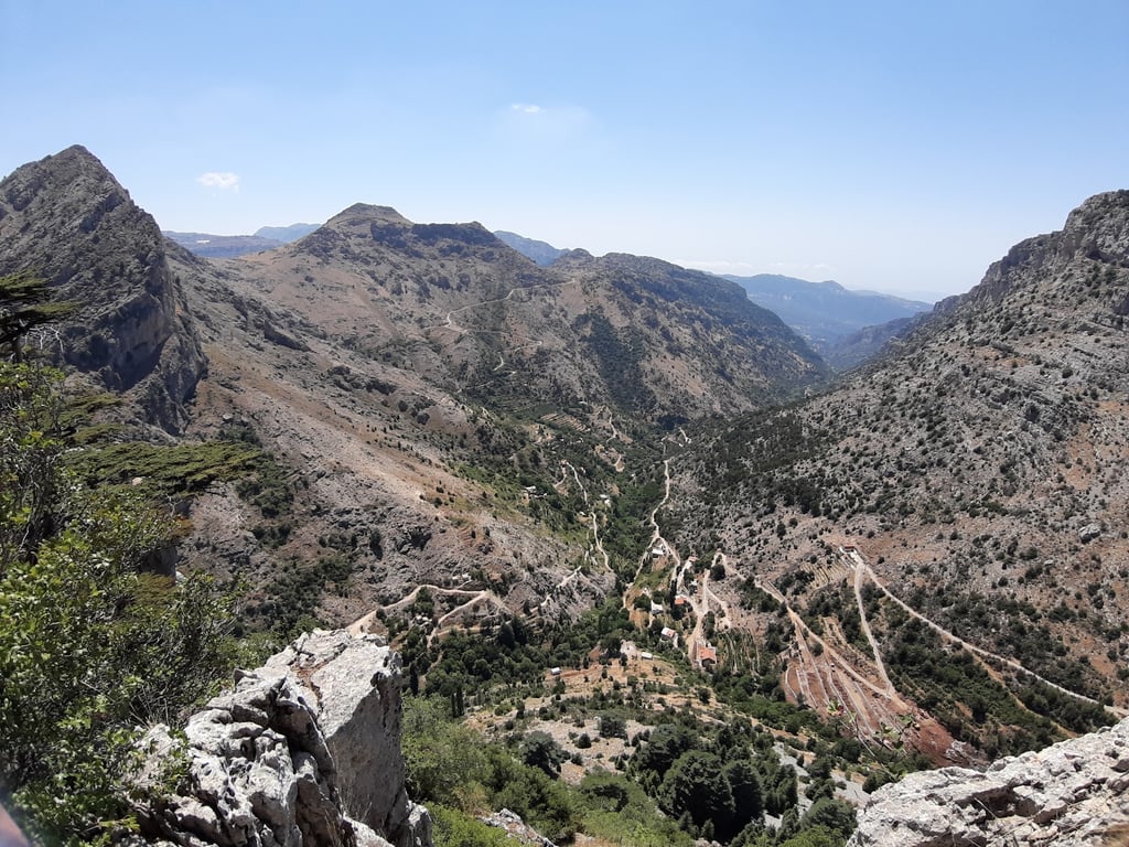 Tannourine Cedars Forest