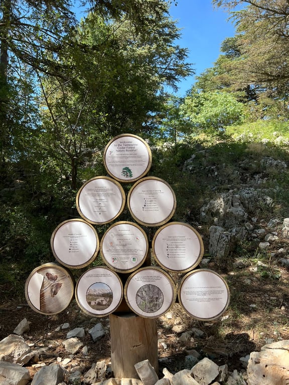 Tannourine Cedars Forest
