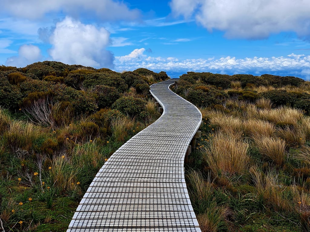 Taranaki Pouakai Tarn