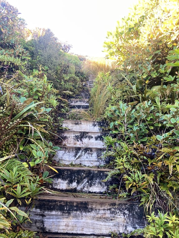 Taranaki Pouakai Tarn