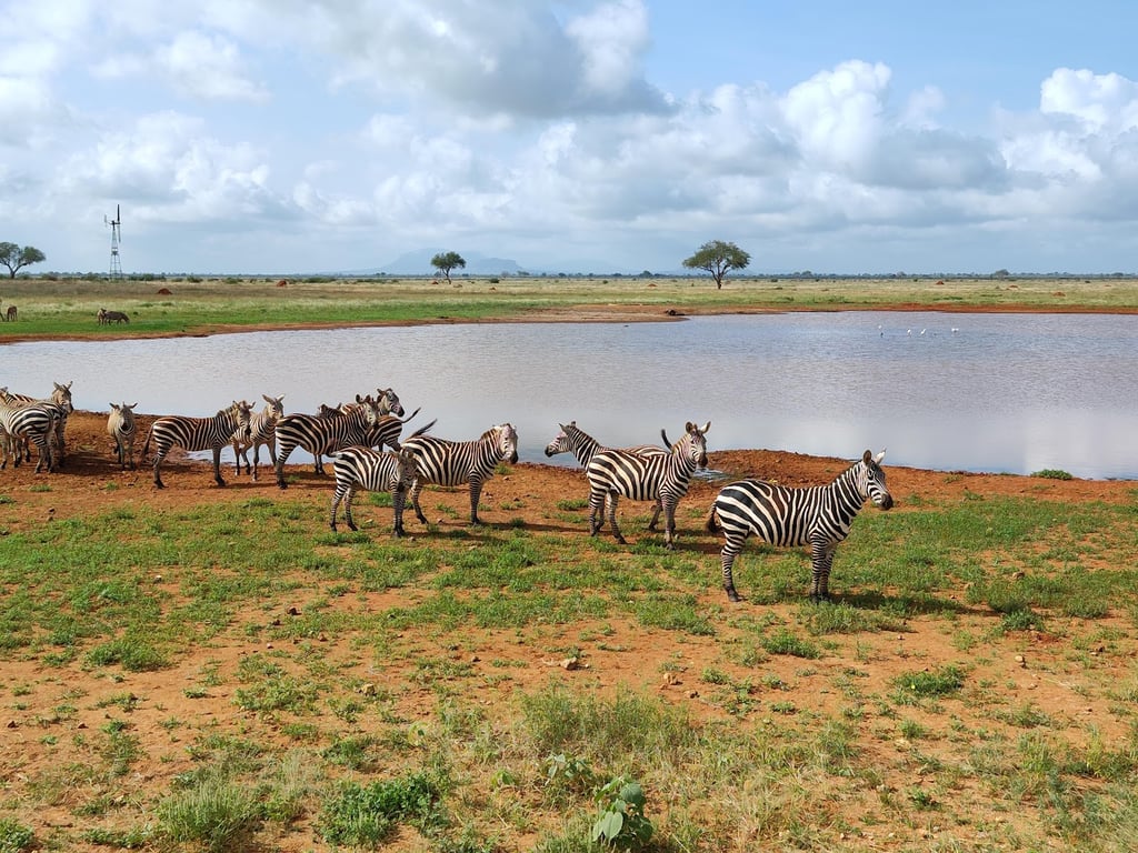 Tsavo East National Park