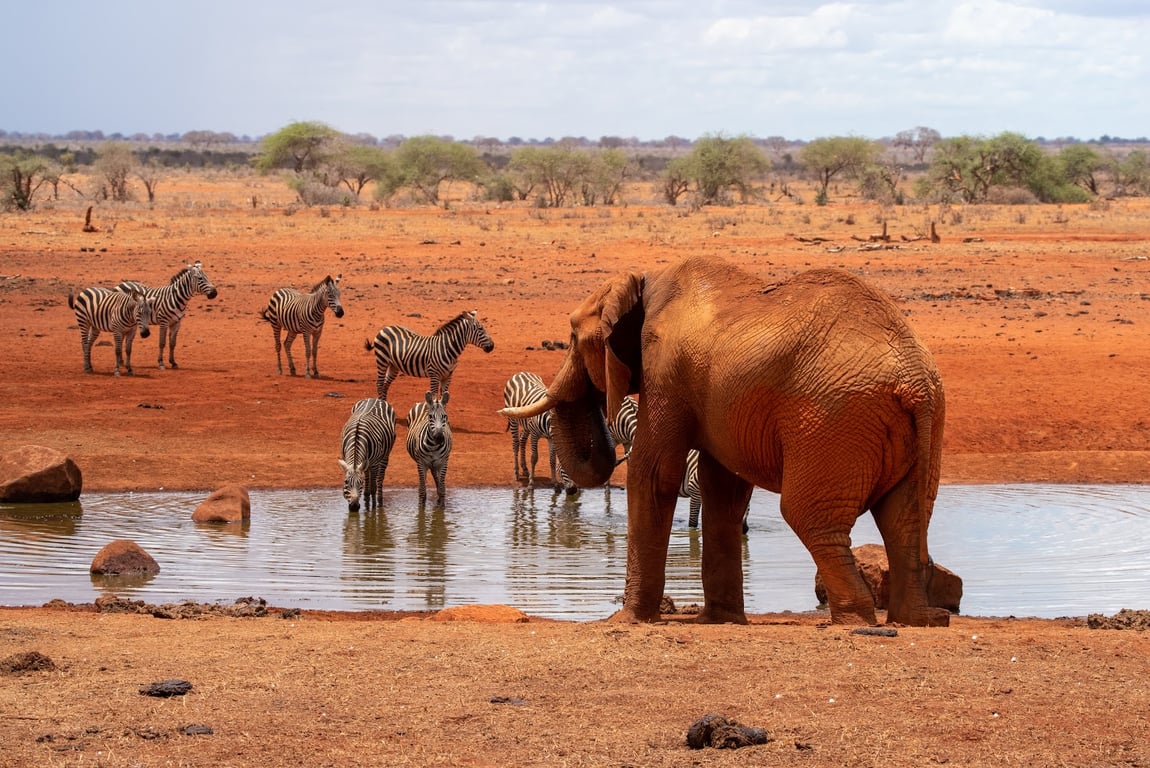 Tsavo East National Park