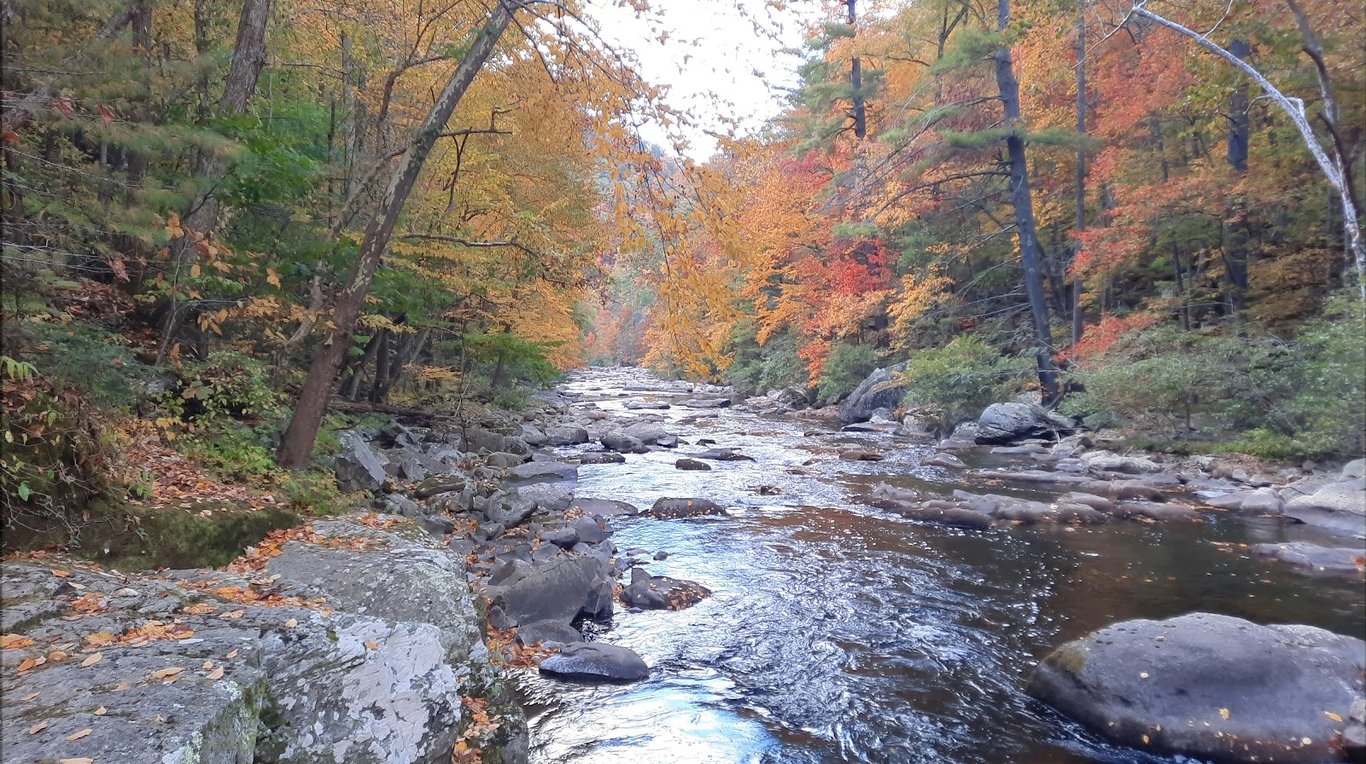 Bald River Falls