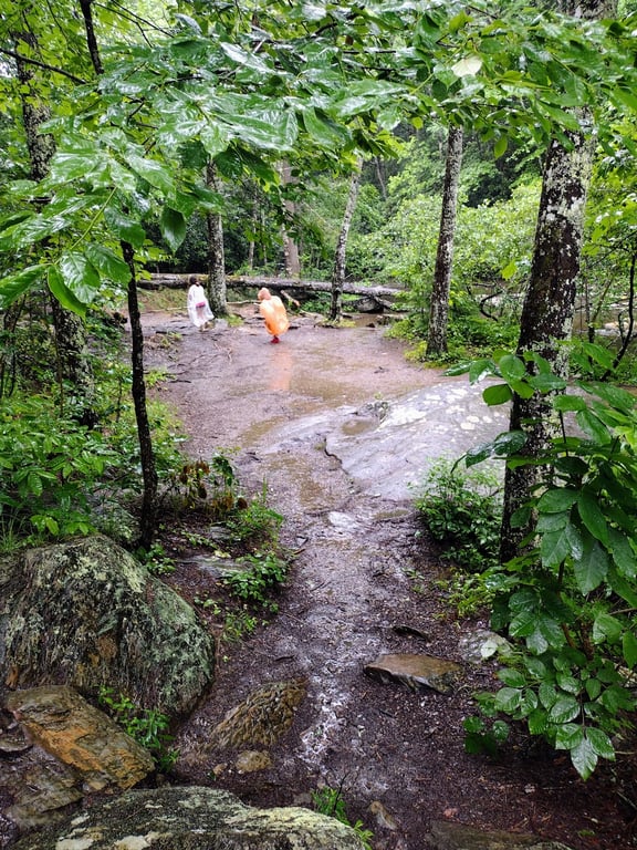 Bald River Falls