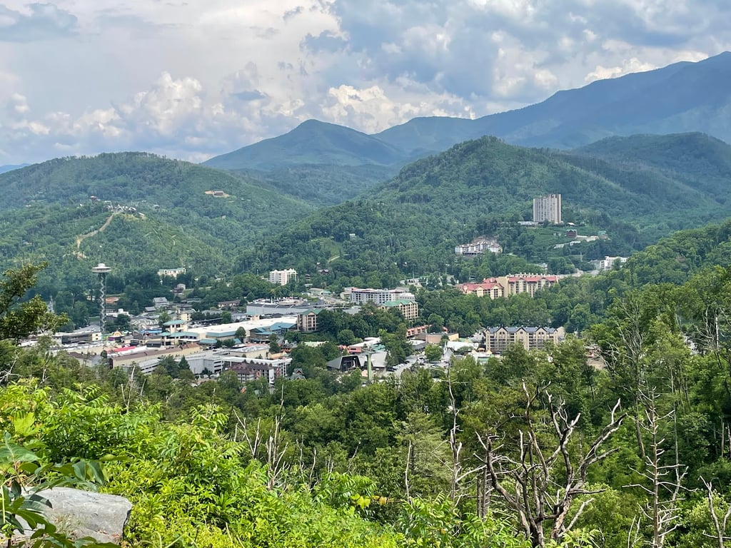 Douglas Lake Scenic Overlook