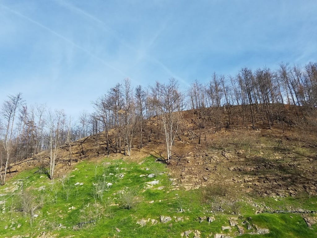 Douglas Lake Scenic Overlook