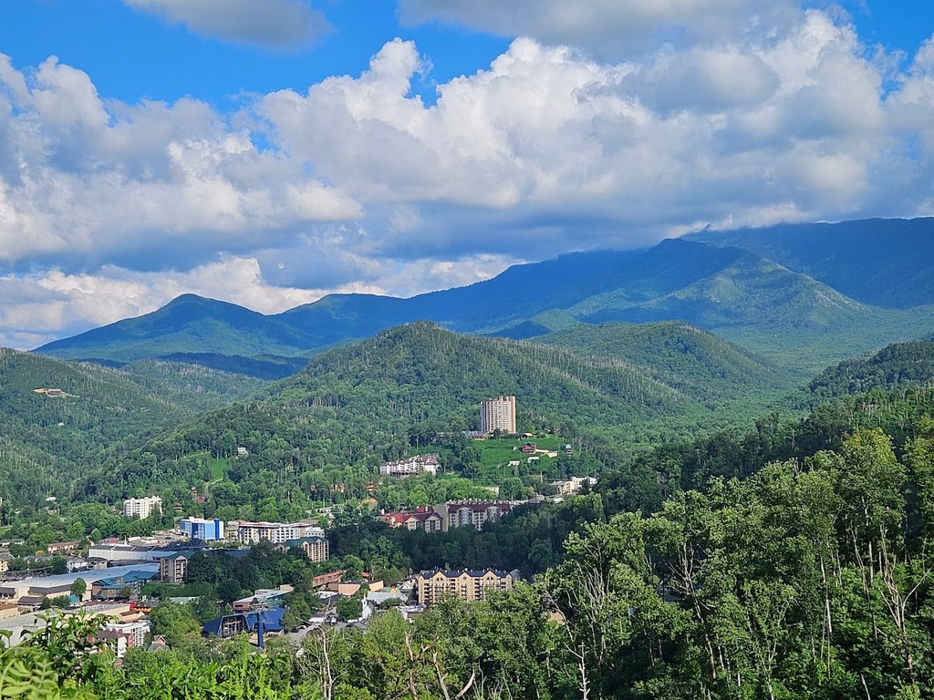 Douglas Lake Scenic Overlook