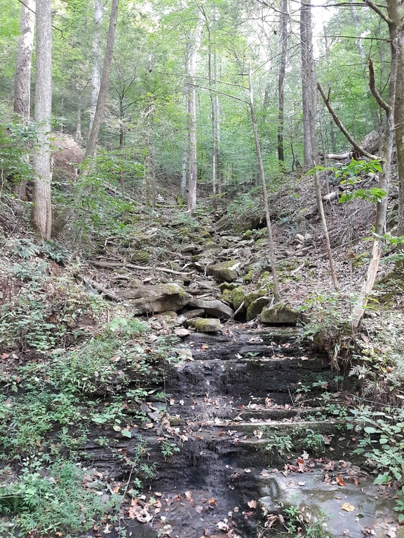 Frozen Head State Park