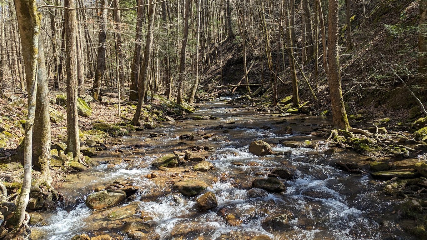 Frozen Head State Park
