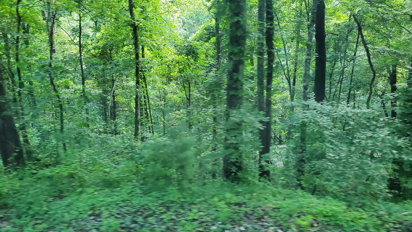 Hiwassee River Scenic River