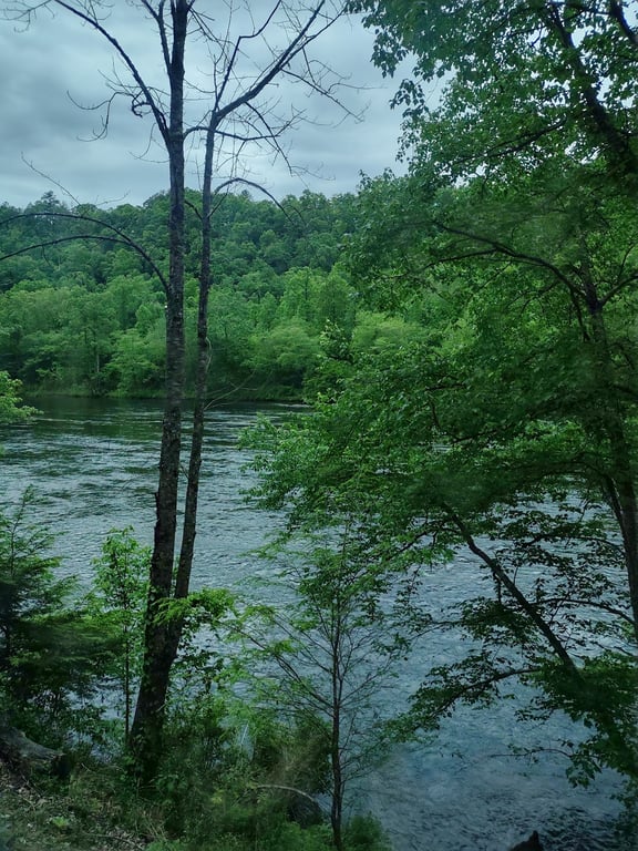Hiwassee River Scenic River
