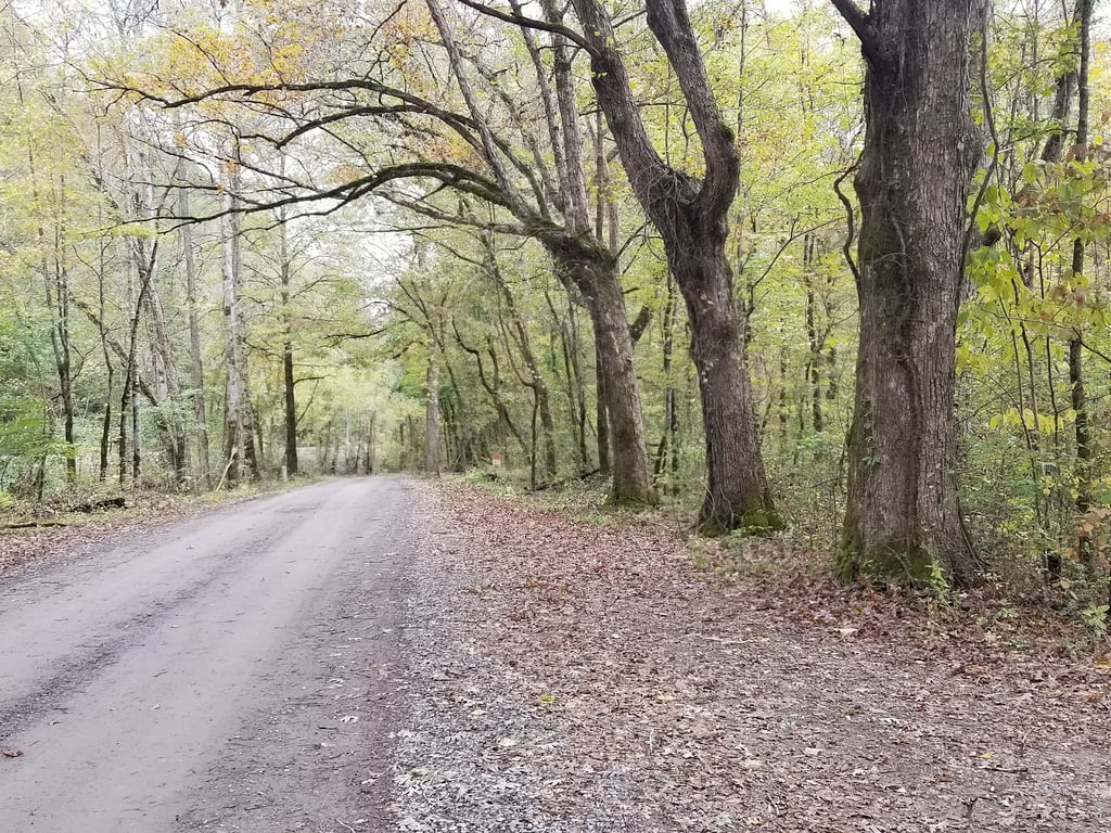 Hiwassee/Ocoee Scenic River State Park