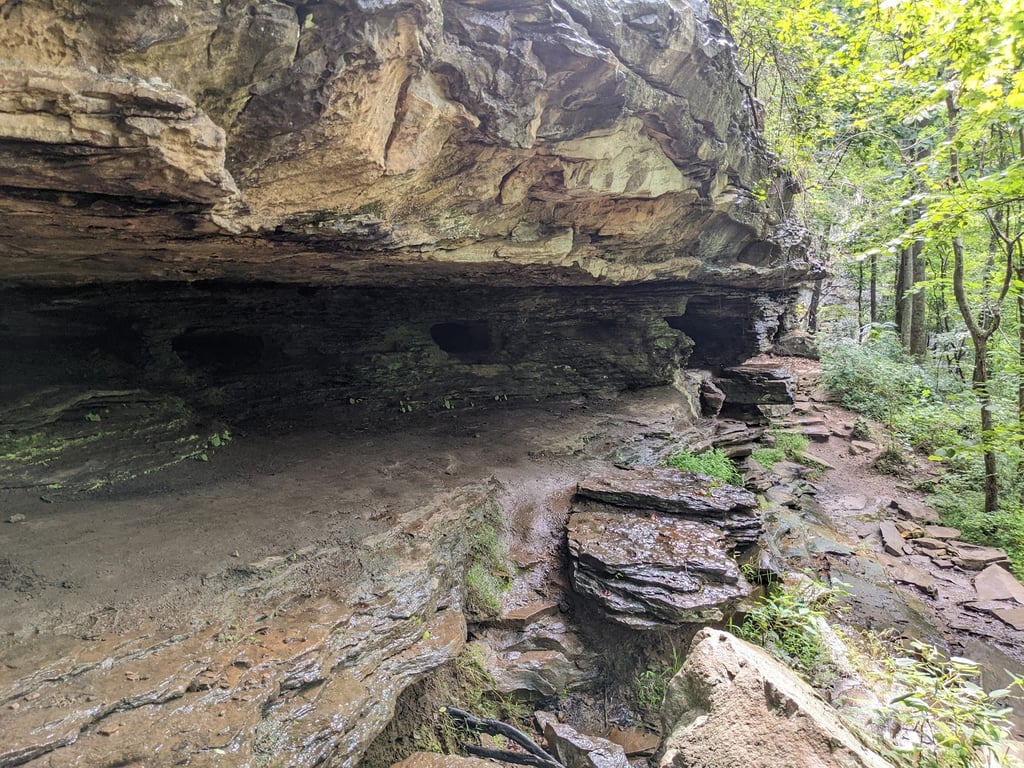 Ozone Falls Scenic Area