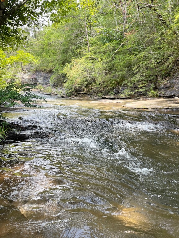 Ozone Falls Scenic Area