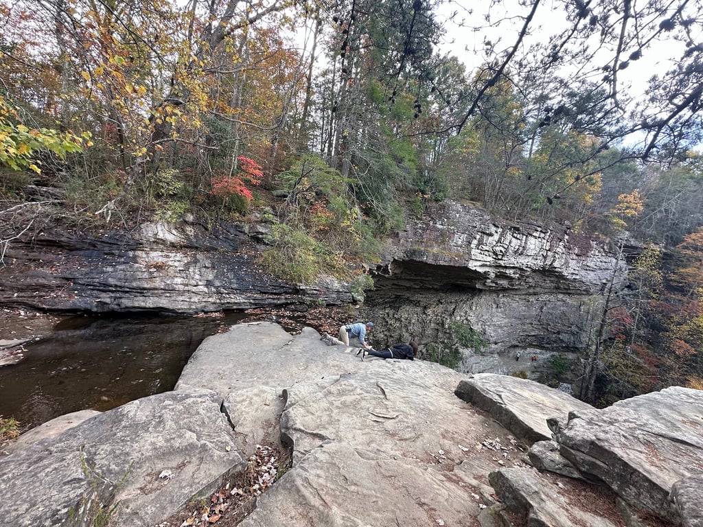 Ozone Falls Scenic Area