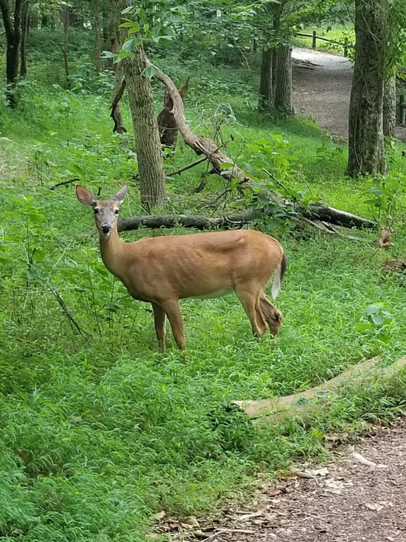 Radnor Lake State Park