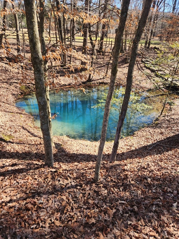 Red Clay State Park