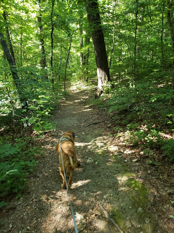 Red Clay State Park