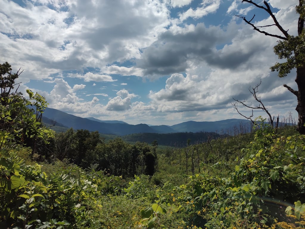 Roaring Fork Motor Nature Trail