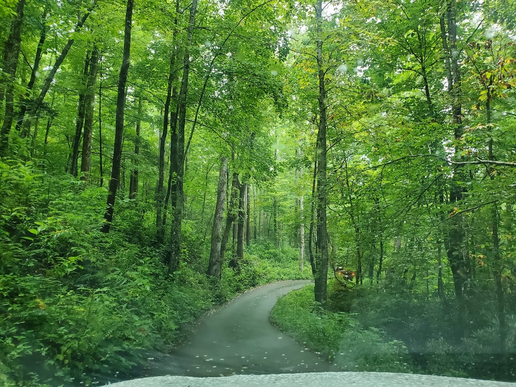 Roaring Fork Motor Nature Trail