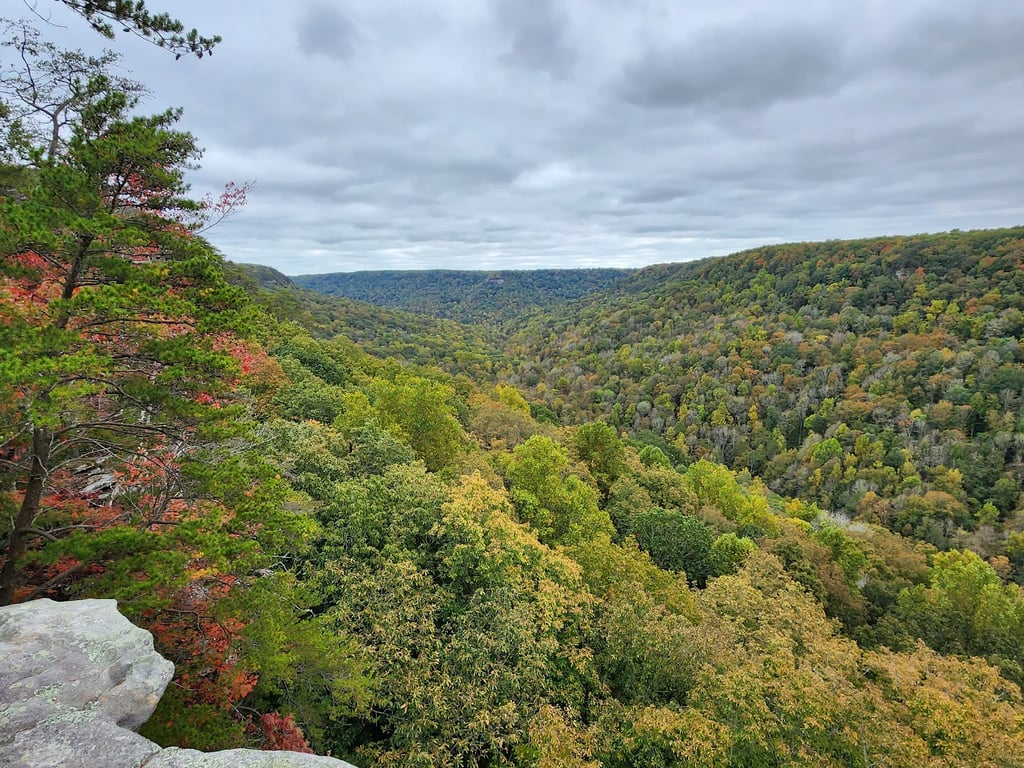 Savage Gulf State Park