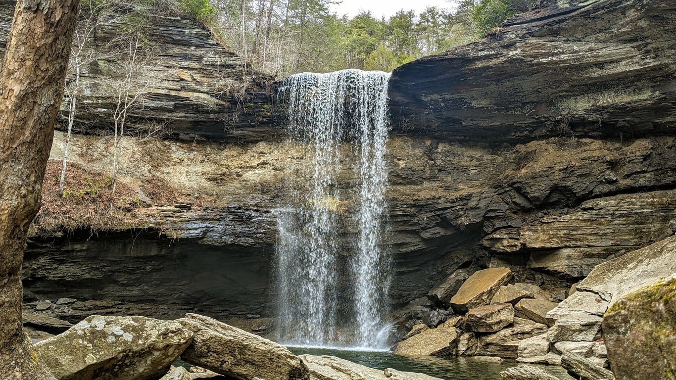 Savage Gulf State Park