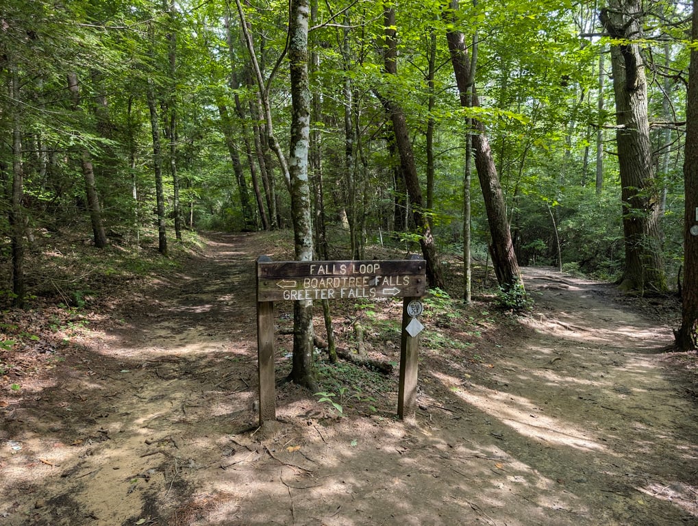 Savage Gulf State Park