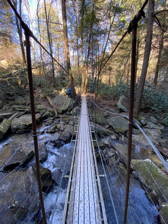 Savage Gulf State Park