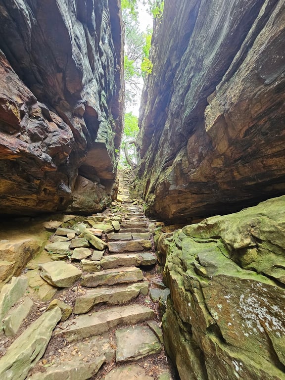 Savage Gulf State Park