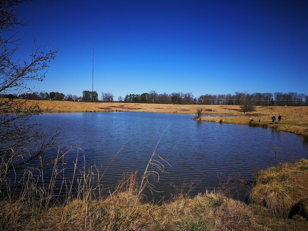 Shelby Farms Park