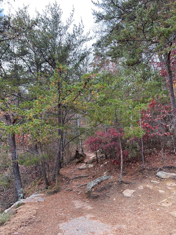 Snooper’s Rock
