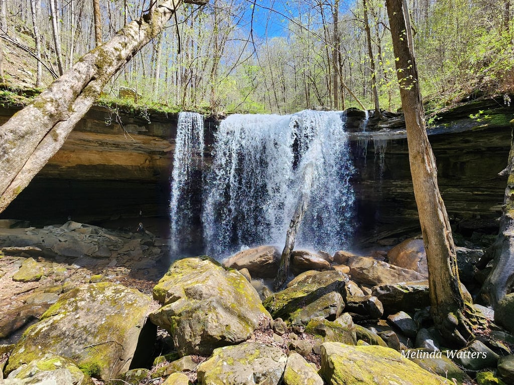Virgin Falls State Natural Area