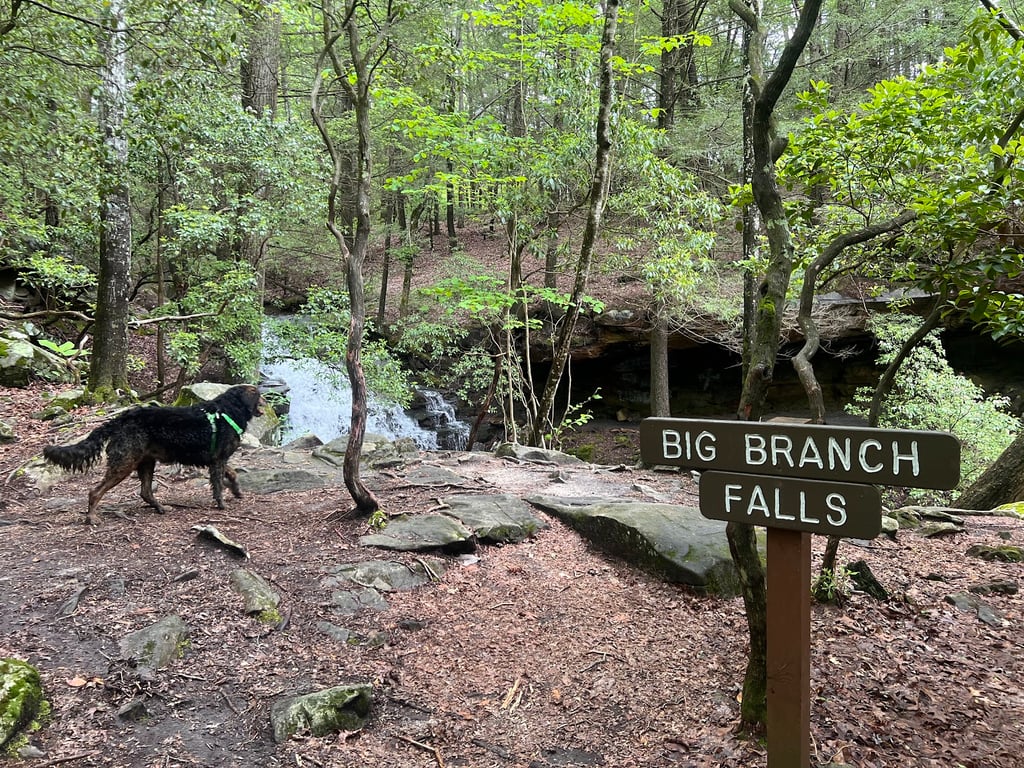 Virgin Falls State Natural Area