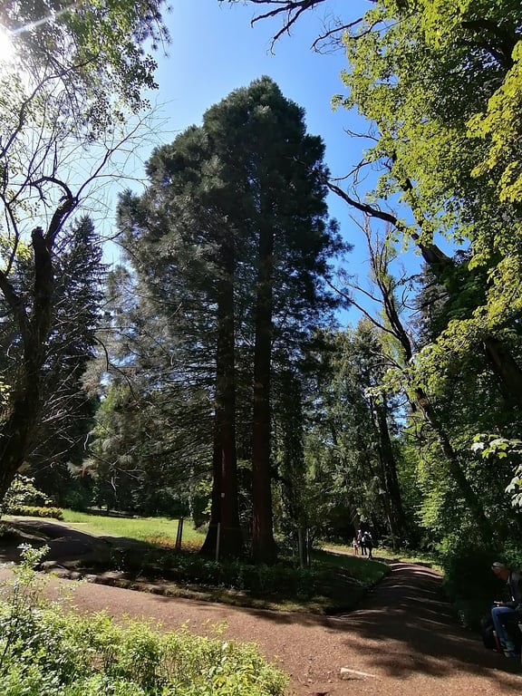 Stepanavan Dendropark