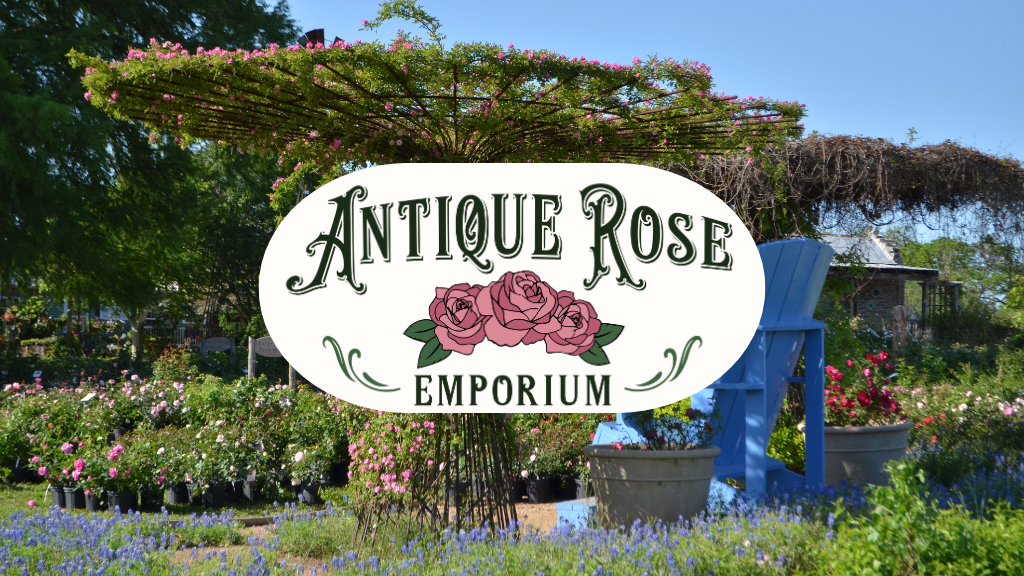 Antique Rose Emporium