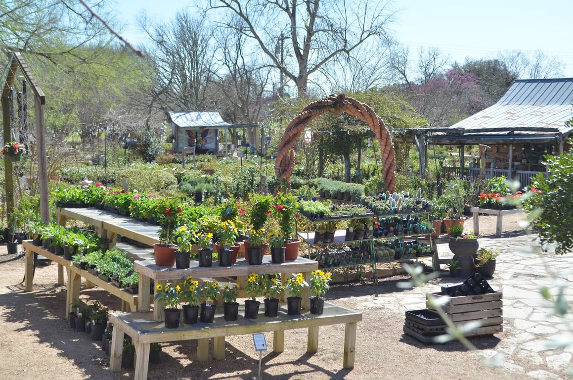 Antique Rose Emporium