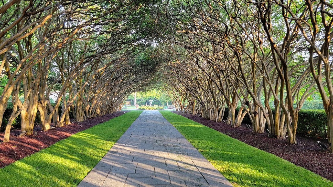 Arboretum and Botanical Garden