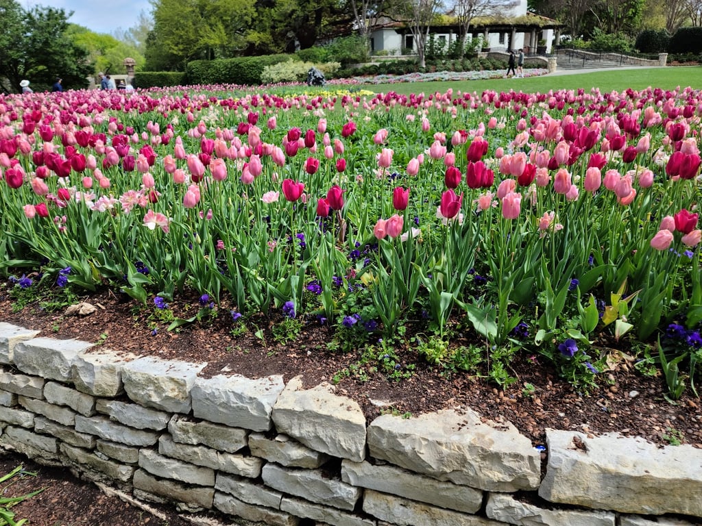 Arboretum and Botanical Garden