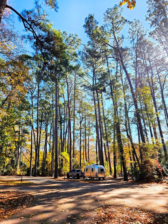 Daingerfield State Park